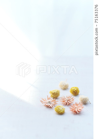 花材乾花背景材料 花材乾花背景材料 75163376