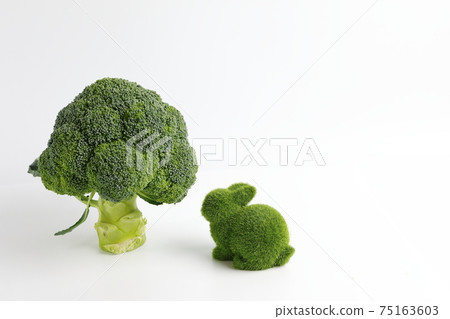 Upright broccoli and rabbit figurine 75163603