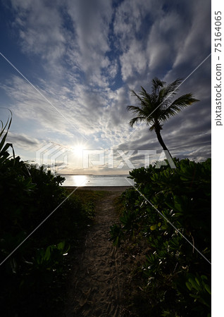 Okinawa scenery Okinawa scenery 75164065
