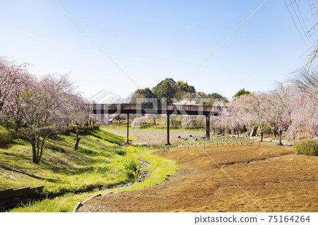 Hill Hitachi Fudoki Kanayama Pond 75164264