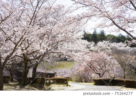 Hill Hitachi Fudoki Jinlong Bridge Hill Hitachi Fudoki Jinlong Bridge 75164277