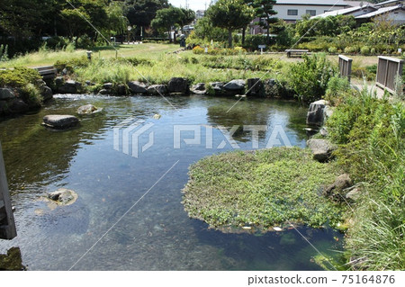 Fountain is a forest fountain 75164876