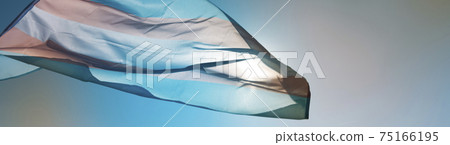 transgender pride flag on the sky, web banner 75166195