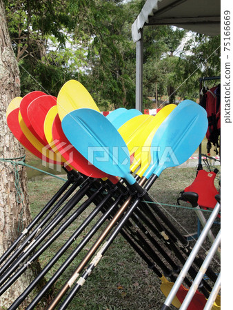 KUALA LUMPUR, MALAYSIA -DECEMBER 31, 2016: Canoe paddles in various colors. In the stand and left dry in the open area.  75166669