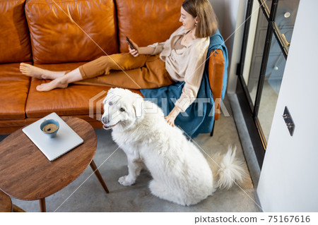 Woman sitting on the sofa at home with a dog. 75167616