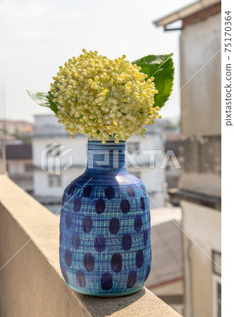 A bouquet of flowers in a blue ceramic vase on old cement wall at the balcony house. A bouquet of flowers in a blue ceramic vase on old cement wall at the balcony house. 75170364