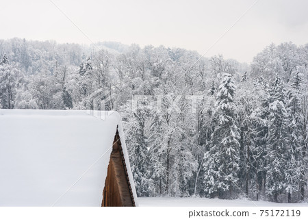 Snow covered roof and snow covered forest Snow covered roof and snow covered forest 75172119