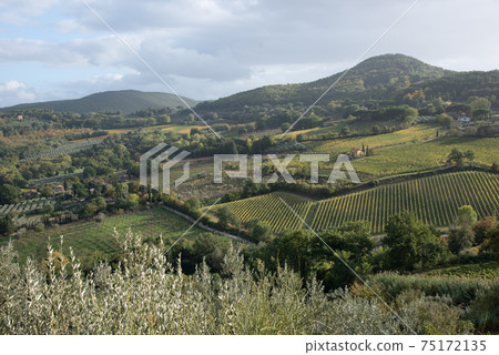 Beautiful landscape in Tuscany - enjoy the beautiful life while traveling Beautiful landscape in Tuscany - enjoy the beautiful life while traveling 75172135