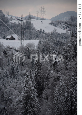 Snow covered landscape with a forest after a heavy snowfall Snow covered landscape with a forest after a heavy snowfall 75172141