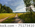 Rural landscape in warm colors. 75173410