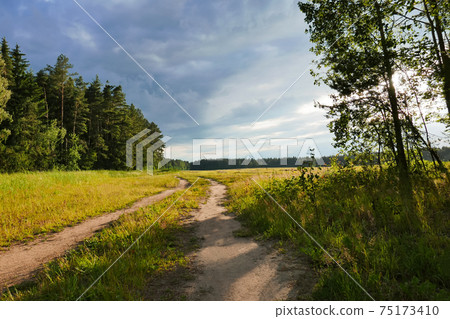 Rural landscape in warm colors. 75173410