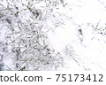 Grass in the snow close-up top view. 75173412