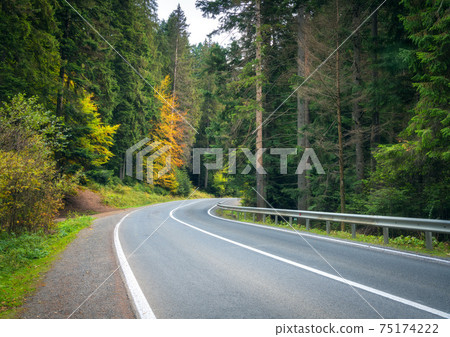 Road in autumn foggy forest at sunset in rainy day 75174222