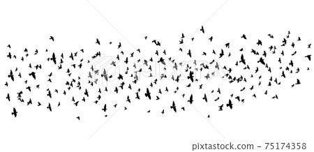 A large flock of flying birds. Vector illustration A large flock of flying birds. Vector illustration 75174358