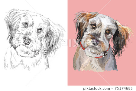 Vector illustration portrait of cute fluffy dog 75174695