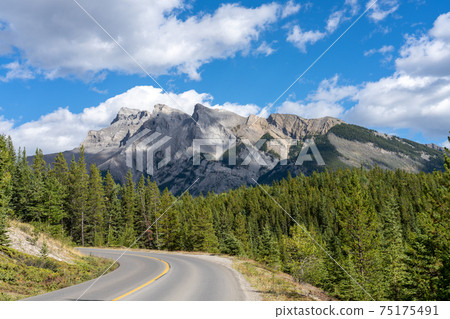 Mountain road in the forest in summer time. Lake Minnewanka scenic drive Loop. Banff National Park, Canadian Rockies, Alberta, Canada. Mountain road in the forest in summer time. Lake Minnewanka scenic drive Loop. Banff National Park, Canadian Rockies, Alberta, Canada. 75175491