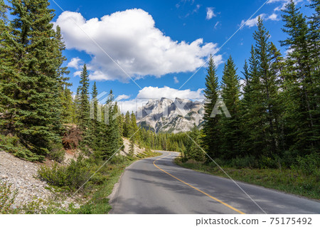Mountain road in the forest in summer time. Lake Minnewanka scenic drive Loop. Banff National Park, Canadian Rockies, Alberta, Canada. Mountain road in the forest in summer time. Lake Minnewanka scenic drive Loop. Banff National Park, Canadian Rockies, Alberta, Canada. 75175492