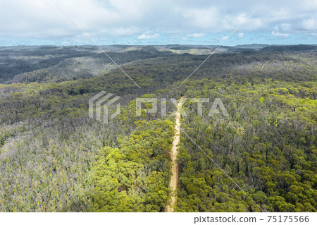 Aerial view of a dirt track in the Grose Valley in The Blue Mountains in Australia Aerial view of a dirt track in the Grose Valley in The Blue Mountains in Australia 75175566