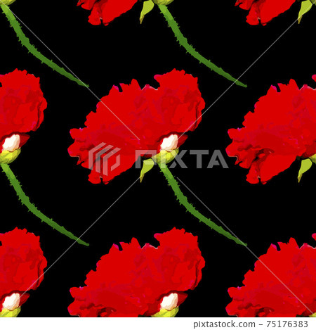 Red terry poppy on a black background - illustration. Square. Red terry poppy on a black background - illustration. Square. 75176383