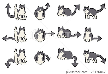 Relaxing cat tail arrow set hand-painted line art color 75176867