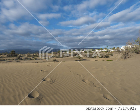View of the Natural Reserve of Dunes of Maspalomas with white apartments and hotels. Golden sand dunes, blue sky. Gran Canaria, Canary Islands, Spain View of the Natural Reserve of Dunes of Maspalomas with white apartments and hotels. Golden sand dunes, blue sky. Gran Canaria, Canary Islands, Spain 75176922