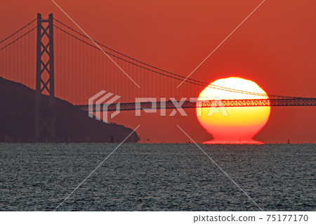 明石海峽大橋的達摩日落 明石海峽大橋的達摩日落 75177170