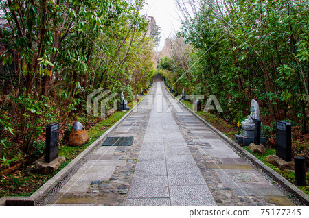Sendai City Kitayama Rinnoji Temple Winter Approach 75177245