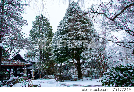 仙台市北山林內寺寺被雪覆蓋 仙台市北山林內寺寺被雪覆蓋 75177249