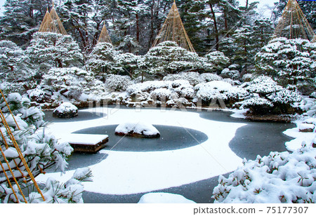 仙台北山臨空寺日本花園Yukitsuri和池塘的雪景 仙台北山臨空寺日本花園Yukitsuri和池塘的雪景 75177307