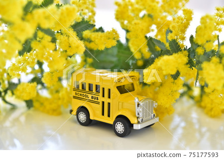 Mimosa and school bus Mimosa and school bus 75177593