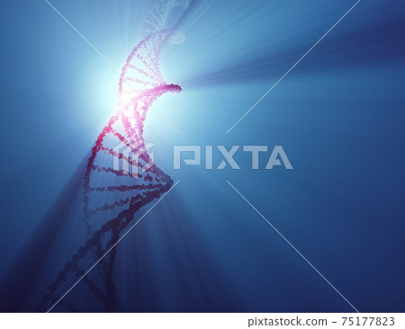 DNA Molecule Helix Genetic Code DNA Molecule Helix Genetic Code 75177823