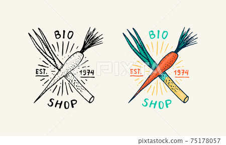 Vegetables logo. Carrots with herbs . Vegetarian concept. Organic Vegan label. Farm element. Vector 75178057