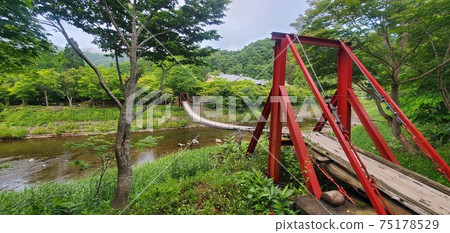 北海道八雲的吊橋 北海道八雲的吊橋 75178529