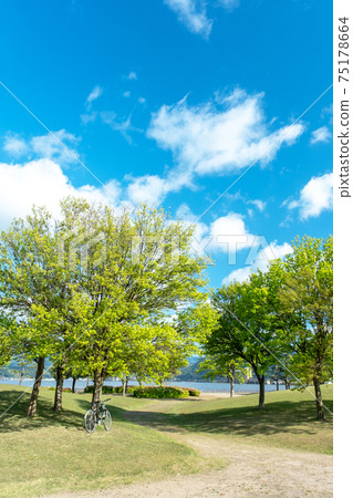 Image of enjoying cycling in a fresh green / early summer park (around Togo Pond) 75178664