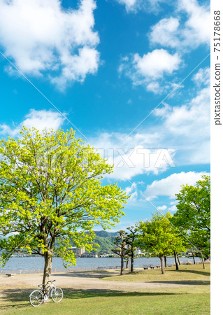 Image of enjoying cycling in a fresh green / early summer park (around Togo Pond) 75178668