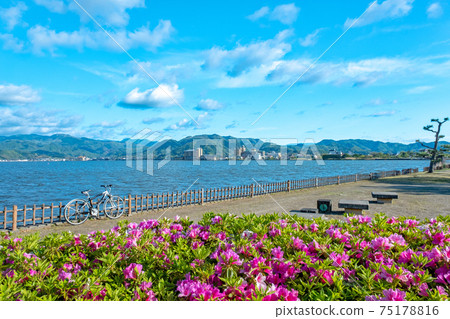 Image of enjoying cycling in a fresh green / early summer park (around Togo Pond) Image of enjoying cycling in a fresh green / early summer park (around Togo Pond) 75178816