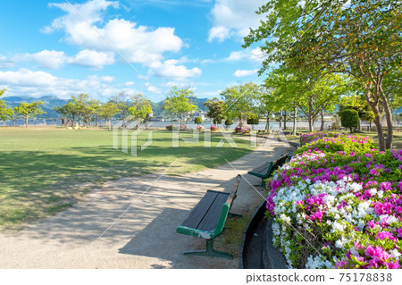Image of a park in fresh green and early summer (around Togo Pond) Image of a park in fresh green and early summer (around Togo Pond) 75178838