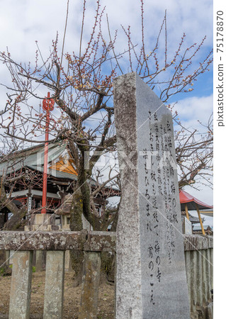 Otozutera Otozutera 75178870