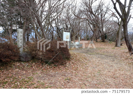 薩瓦瑪山山頂上的薩瓦瑪城堡廢墟 薩瓦瑪山山頂上的薩瓦瑪城堡廢墟 75179573