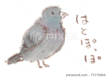 Familiar birds: pigeons (Dove and rock pigeons) Familiar birds: pigeons (Dove and rock pigeons) 75179808
