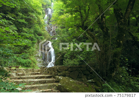 Waterfall landscape Waterfall landscape 75179817