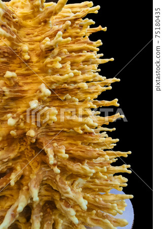 Sakotis Lithuania cake Sakotis Lithuania cake 75180435