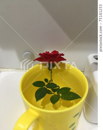 Present from children 75181253