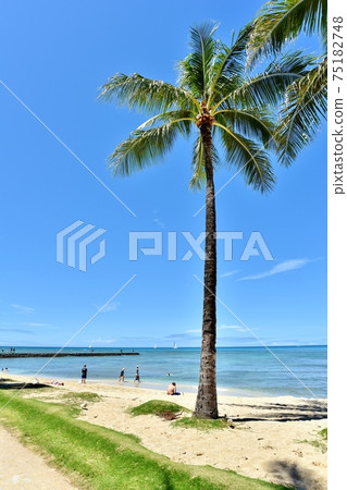 Holidays in Hawaii Holidays in Hawaii 75182748