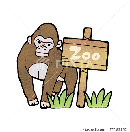 動物園大猩猩圖 75183162
