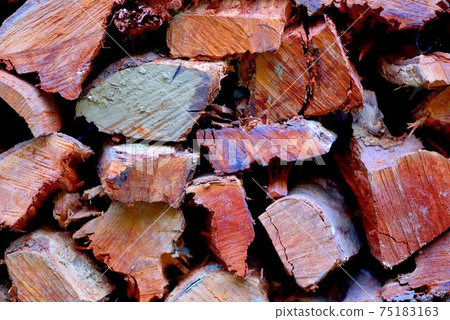 木材紋路背景在台灣山上. 75183163