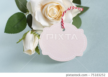 Rose and tack image on blue background 75183252