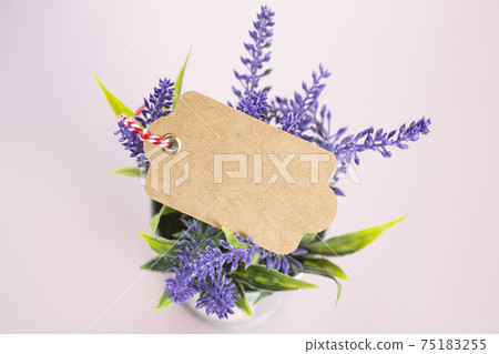 紫色草藥花盆上的大頭釘圖像 75183255