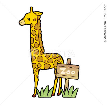 Illustration of a zoo giraffe Illustration of a zoo giraffe 75183275