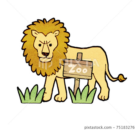 Zoo lion illustration 75183276